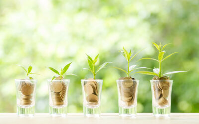 Dywersyfikacja przychodu ubezpieczeniem przedsiębiorcy